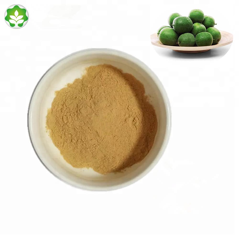 monk fruit herb extract sugar powder factory price